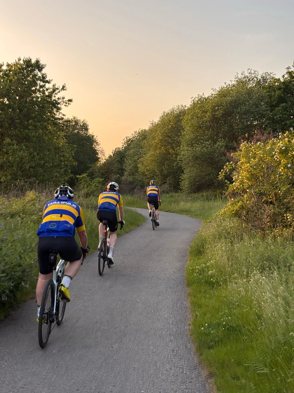 A group of cyclists riding along a tree-lined country lane at golden hour.